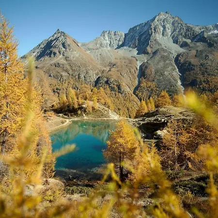 Nastudio En Plein Centre Διαμέρισμα Evolène