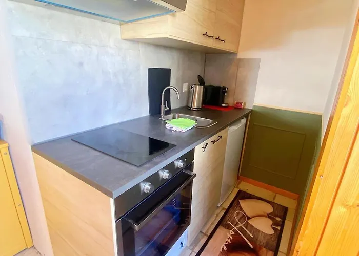 Apartment En Plein Centre Evolene