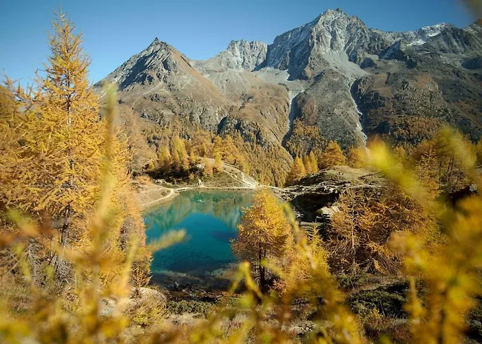 Nastudio En Plein Centre 아파트 Evolène