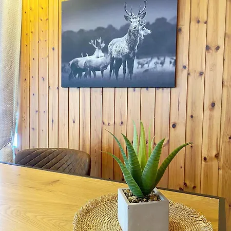 En Plein Centre Apartment Evolène